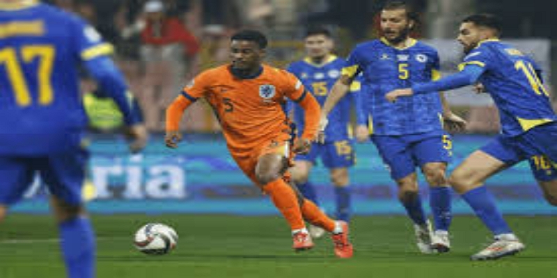 专家分析：切尔西仍需关键位置补强-星空体育