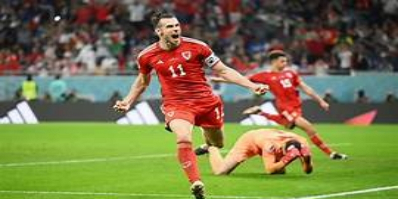 事件背景与司法进程-星空体育