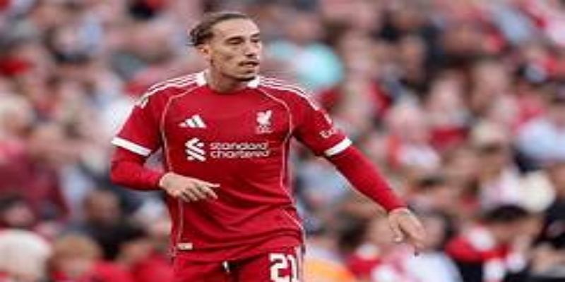 武齐尼奇加盟罗马：锋线体系全面升级-星空体育